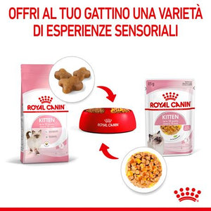 Kitten Jelly - Multipack  Umido per Gatti