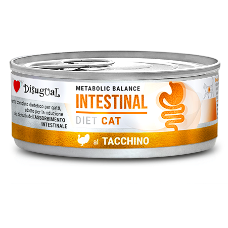 DISUGUAL INTESTINAL CAT MANZO 6X85G