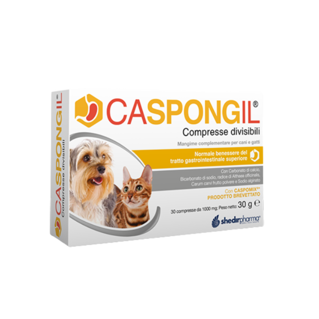 CASPONGIL COMPRESSE