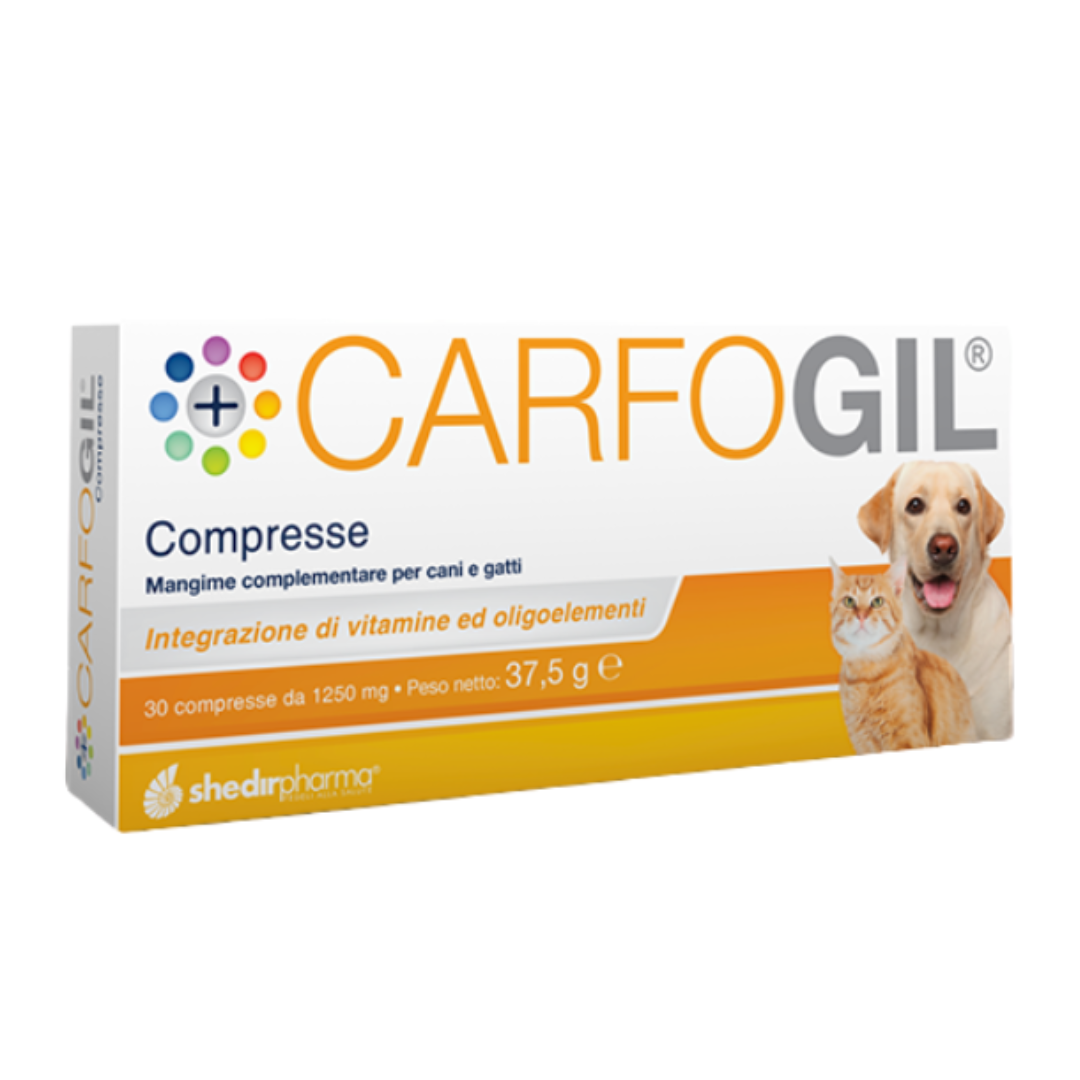 CARFOGIL COMPRESSE