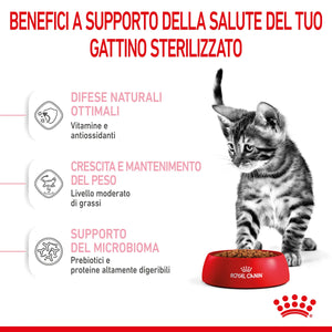 Kitten Sterilised - Crocchette per Gattini da 6 a 12 mesi