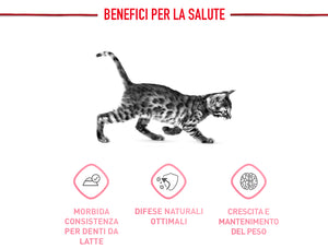 Kitten Sterilised - Crocchette per Gattini da 6 a 12 mesi