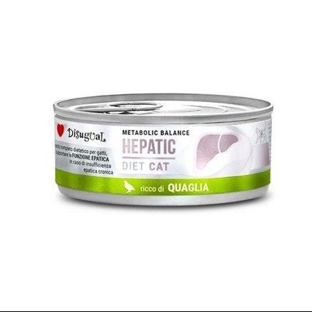 DISUGUAL HEPATIC CAT QUAGLIA 6X85G