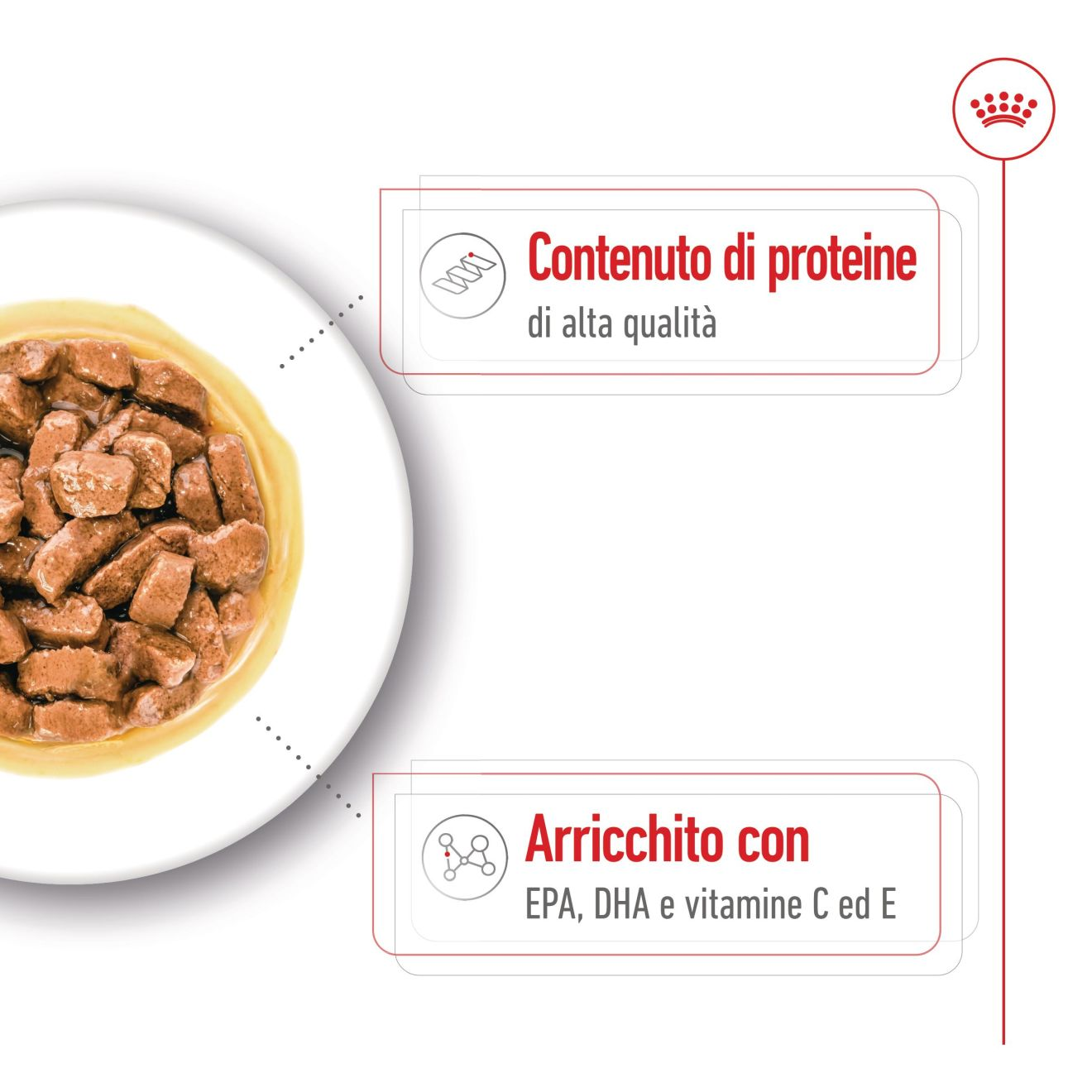 Medium Ageing - Pack Umido per Cani