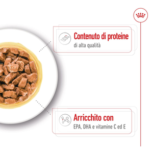 Medium Ageing - Pack Umido per Cani
