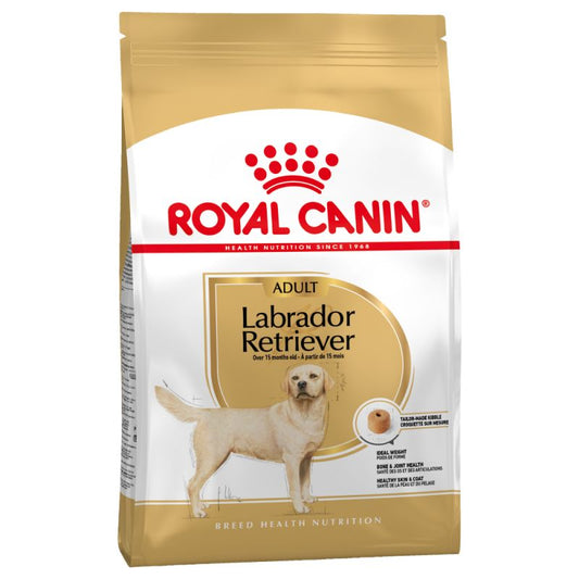 Labrador Retriever  - Crocchette per Cani