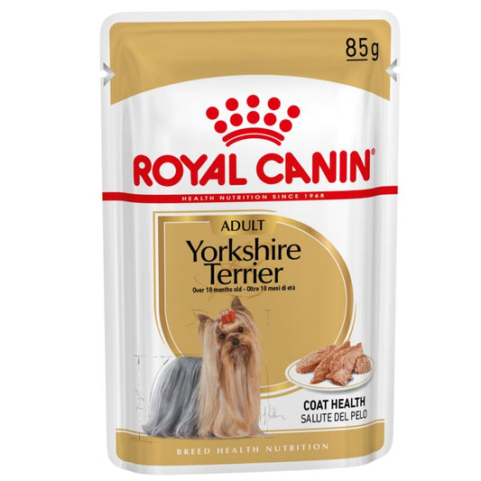 Yorkshire Terrier Adult - Pack Umido per Cani
