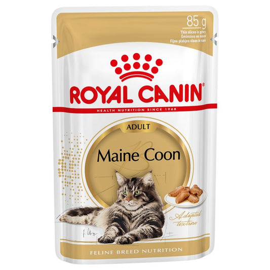 Maine Coon - Umido per Gatti