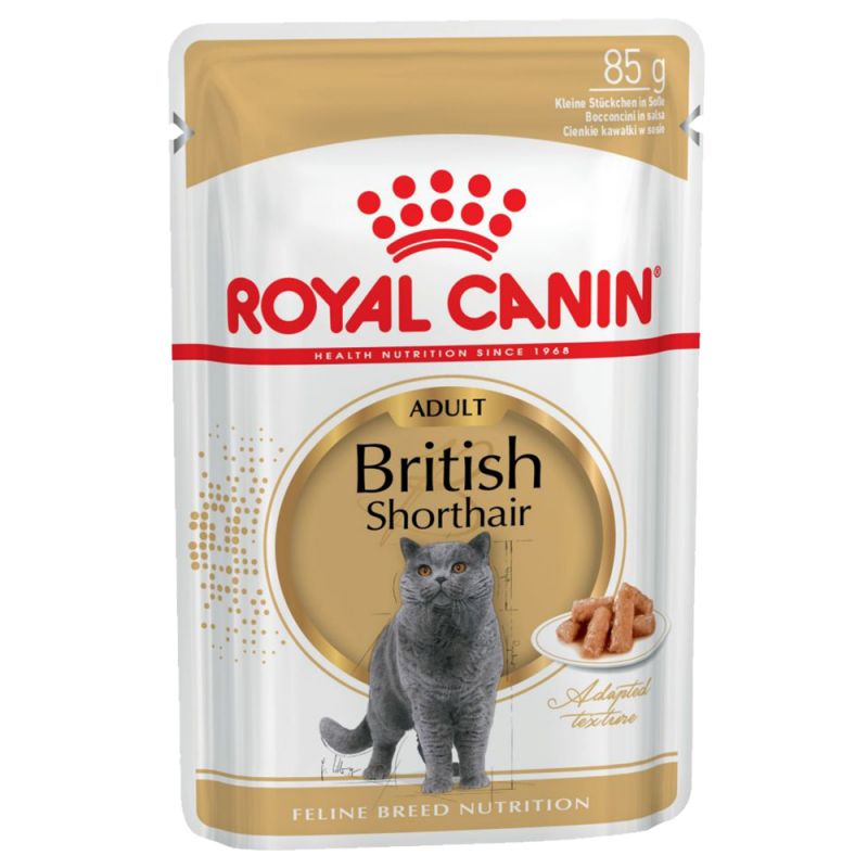 British Shorthair - Multipack Umido per Gatti