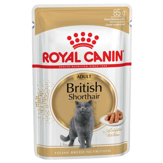 British Shorthair - Multipack Umido per Gatti