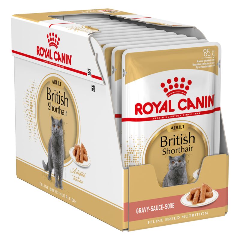 British Shorthair - Multipack Umido per Gatti