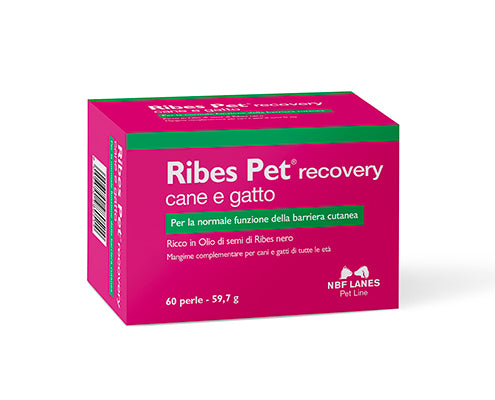 RIBES PET RECOVERY CANE E GATTO Perle - NBF Lines