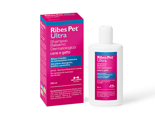 RIBES PET ULTRA CANE E GATTO Shampoo Balsamo Dermatologico- NBF Lines