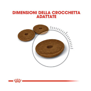 Care Digestive - Crocchette per Gatti