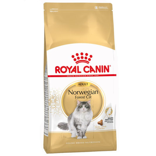 Norwegian Forest Cat - Crocchette per Gatti