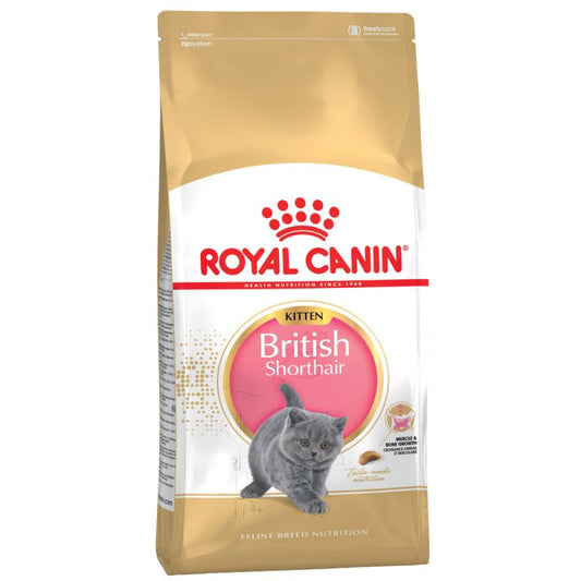 British Shorthair Kitten -  Crocchette per Gatti