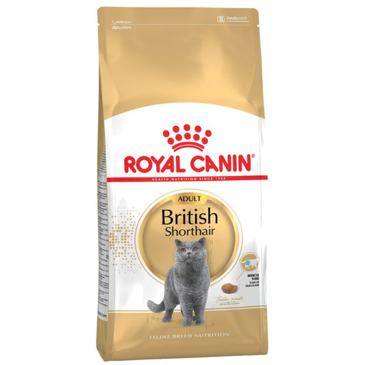 British Shorthair Adult - Crocchette per Gatti