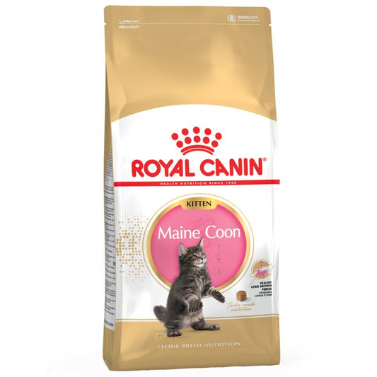 Kitten Maine Coon - Crocchette per Gatti