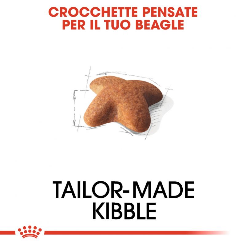 Beagle Adult - Crocchette per Cani