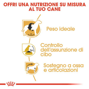 Beagle Adult - Crocchette per Cani