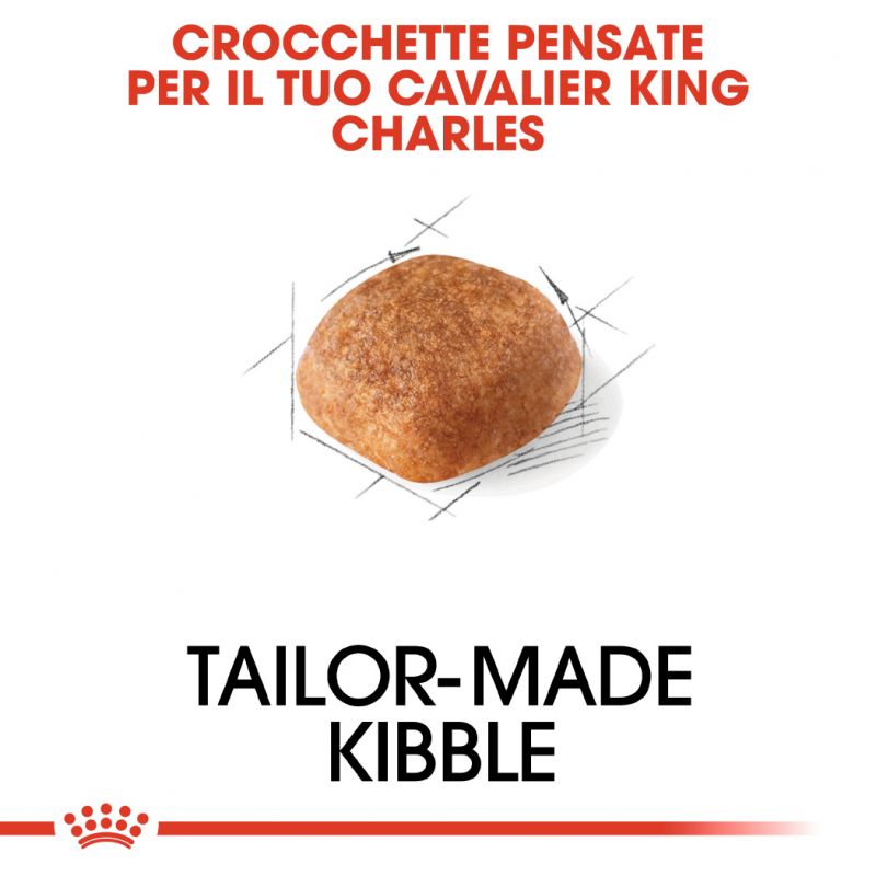Cavalier King Charles Adult  - Crocchette per Cani
