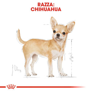 Chihuahua Adult  - Crocchette per Cani