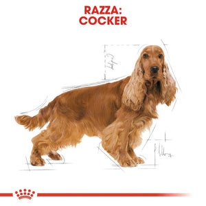 Cocker Adult  - Crocchette per Cani