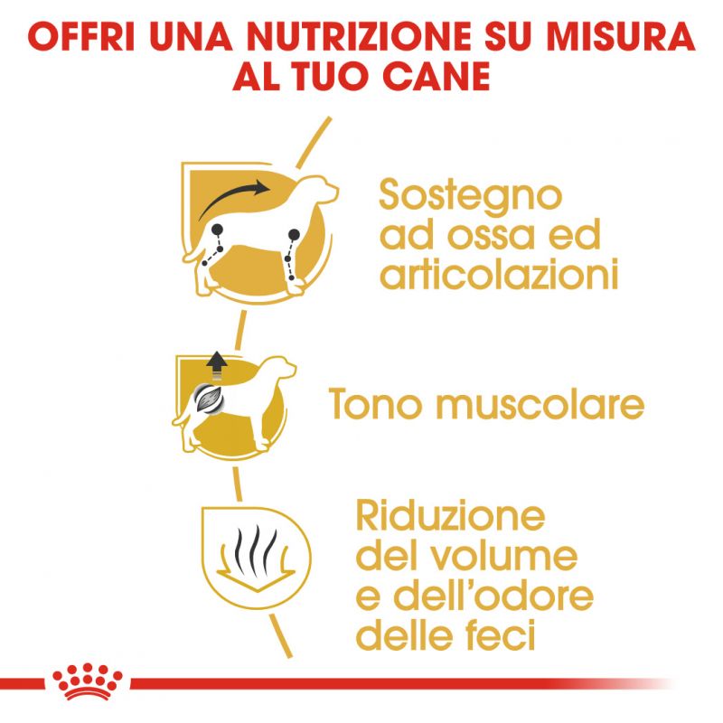 Dachshund Adult  - Crocchette per Cani
