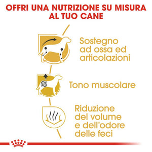 Dachshund Adult  - Crocchette per Cani