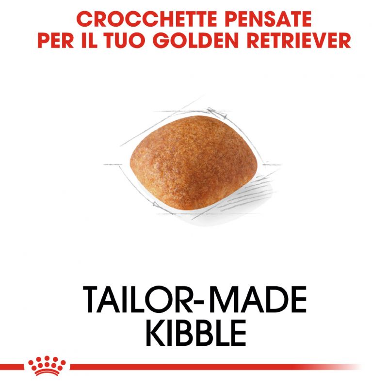 Golden Retriver Adult  - Crocchette per Cani