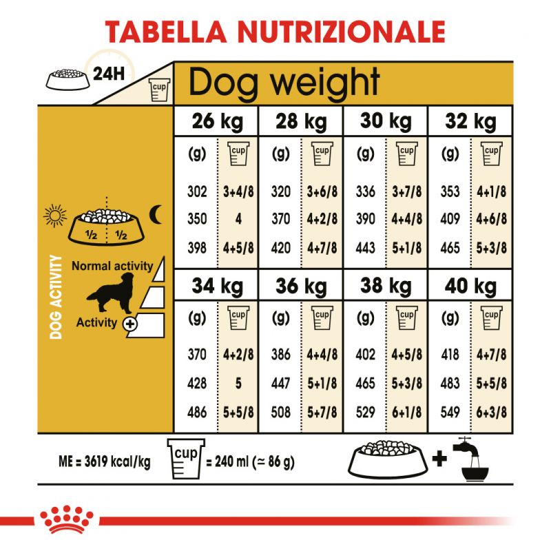 Golden Retriver Adult  - Crocchette per Cani
