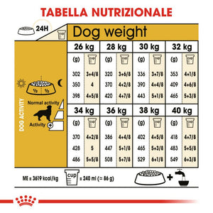 Golden Retriver Adult  - Crocchette per Cani