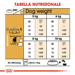 Jack Russell Terrier Adult  - Crocchette per Cani