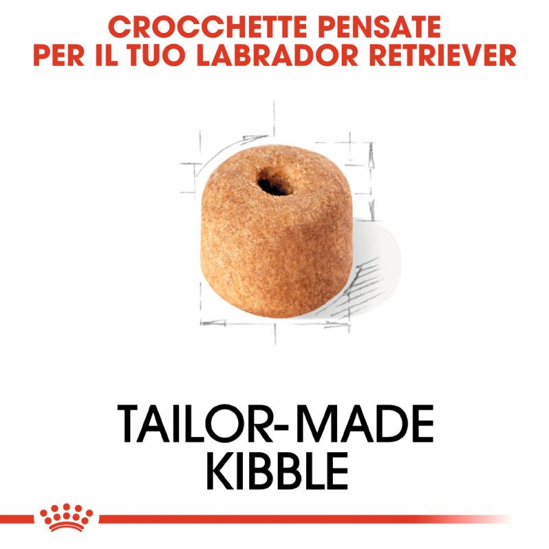 Labrador Retriever  - Crocchette per Cani