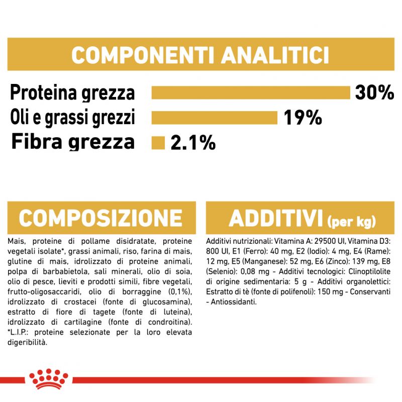 Poodle Adult - Crocchette per Cani