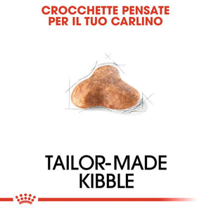 Pug Adult - Crocchette per Cane