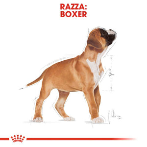 Boxer Puppy  - Crocchette per Cani