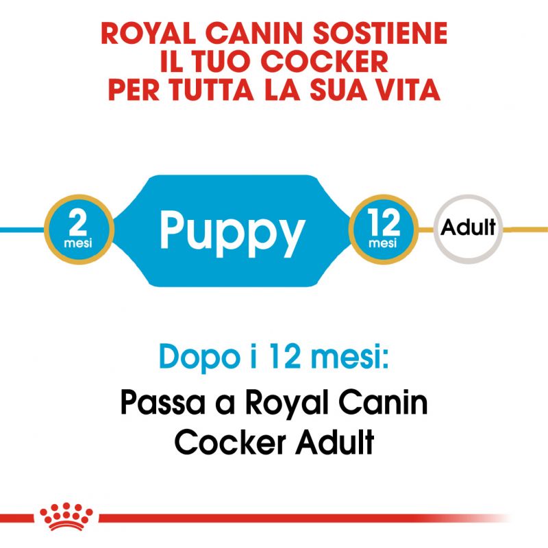 Cocker Puppy - Crocchette per Cani