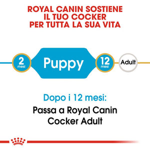 Cocker Puppy - Crocchette per Cani