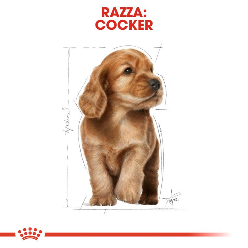 Cocker Puppy - Crocchette per Cani