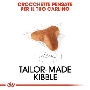 Pug Puppy - Crocchette per Cani