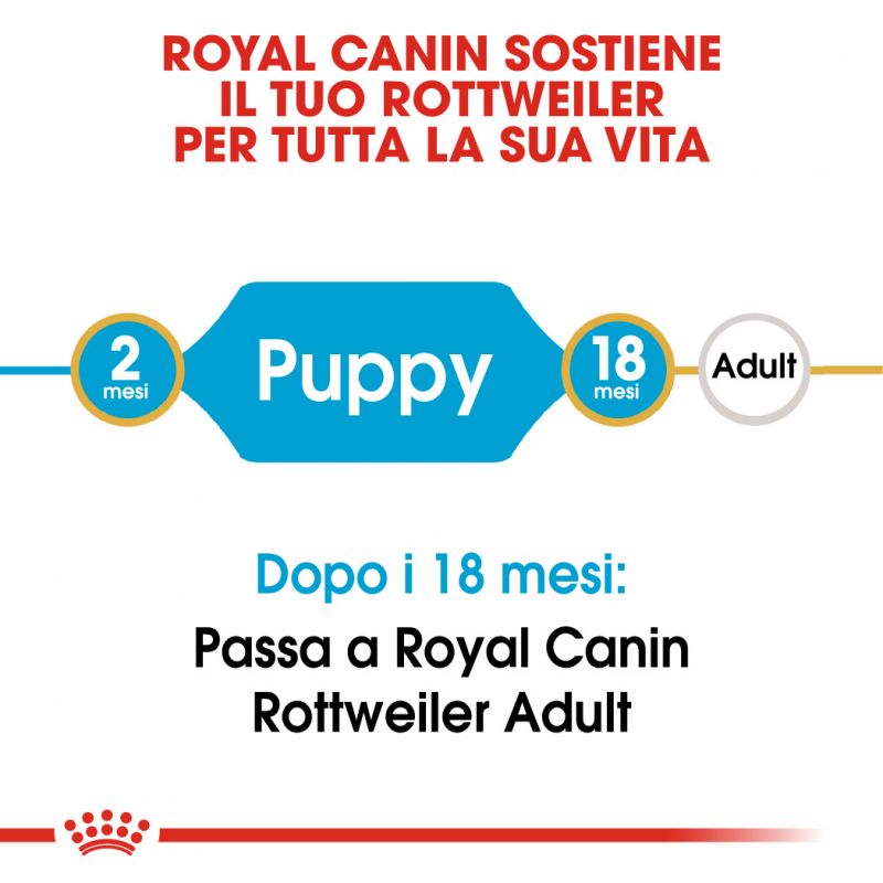 Rottweiler Puppy - Crocchette per Cani