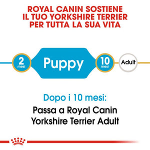 Yorkshire Terrier Puppy - Crocchette per Cani