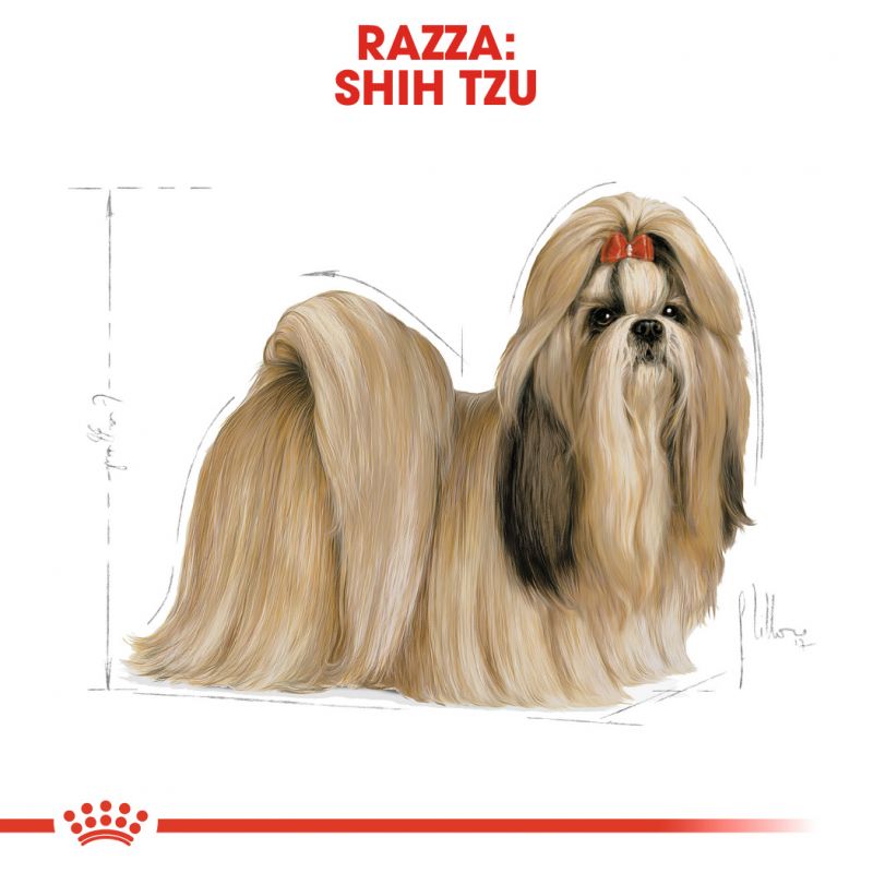 Shih Tzu Adult - Crocchette per Cani