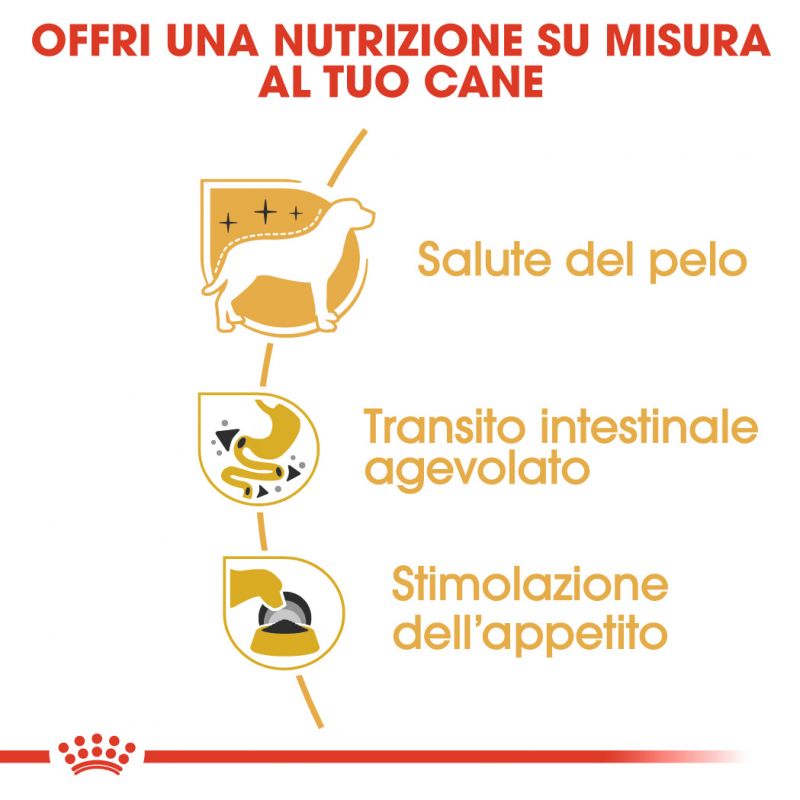 Chihuahua Adult - Multipack Umido per cani