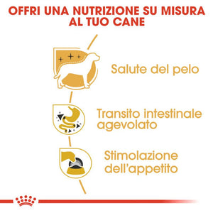 Chihuahua Adult - Multipack Umido per cani