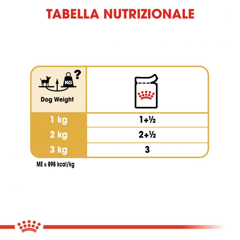 Chihuahua Adult - Multipack Umido per cani