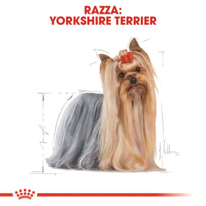 Yorkshire Terrier Adult - Crocchette per Cani
