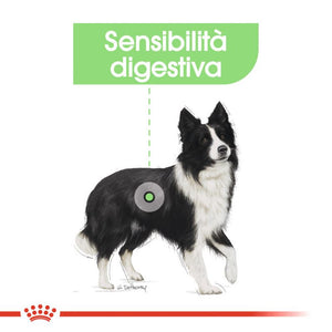 Digestive Care (Tutte le Taglie) -  Umido per Cane (In Bustina)