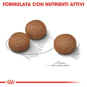 Digestive Care (Tutte le Taglie) -  Umido per Cane (In Bustina)